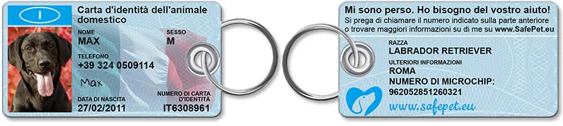 Standard Pet ID Tag - front and back view