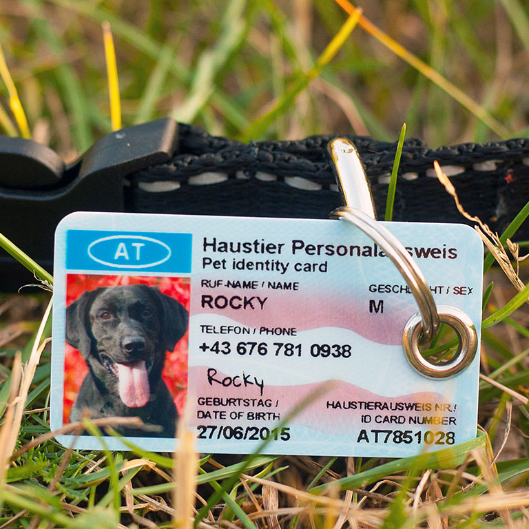 SafePet Portemonnaie-Tierausweiskarte für Hunde und Katzen