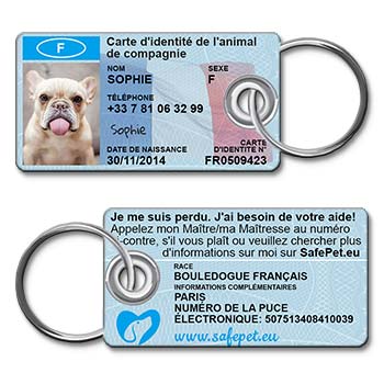 ID4Pet Dog and Cat Customized Pet Id Paris France