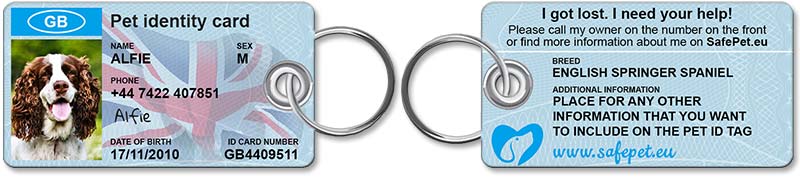 Standard Pet ID Tag - front and back view